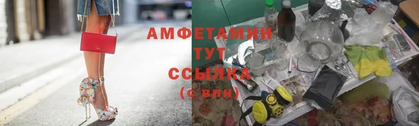 молекула духа Ростов