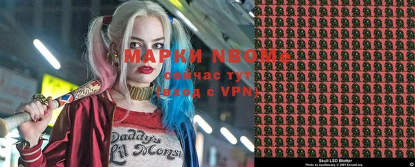 дмт Алзамай