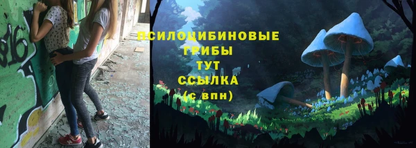 синтетический гашиш Алексеевка