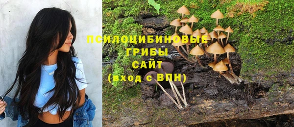 дмт Алзамай