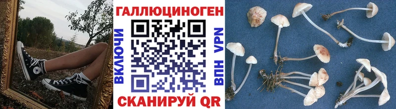 мега как войти  Коряжма  Псилоцибиновые грибы прущие грибы 