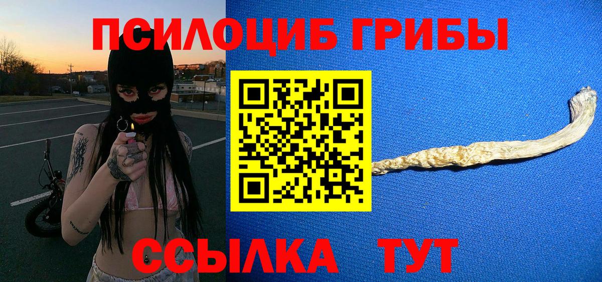 Коряжма  магазин  наркотиков  Псилоцибиновые грибы Cubensis  Вход с VPN  Галлюциногенные грибы прущие грибы 